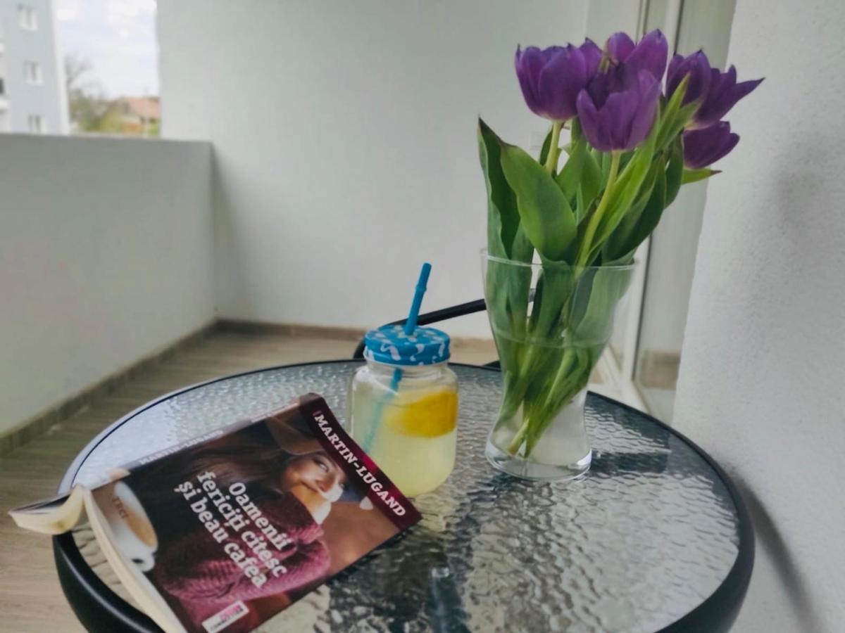 Roxi'S Apartment سيبيو المظهر الخارجي الصورة