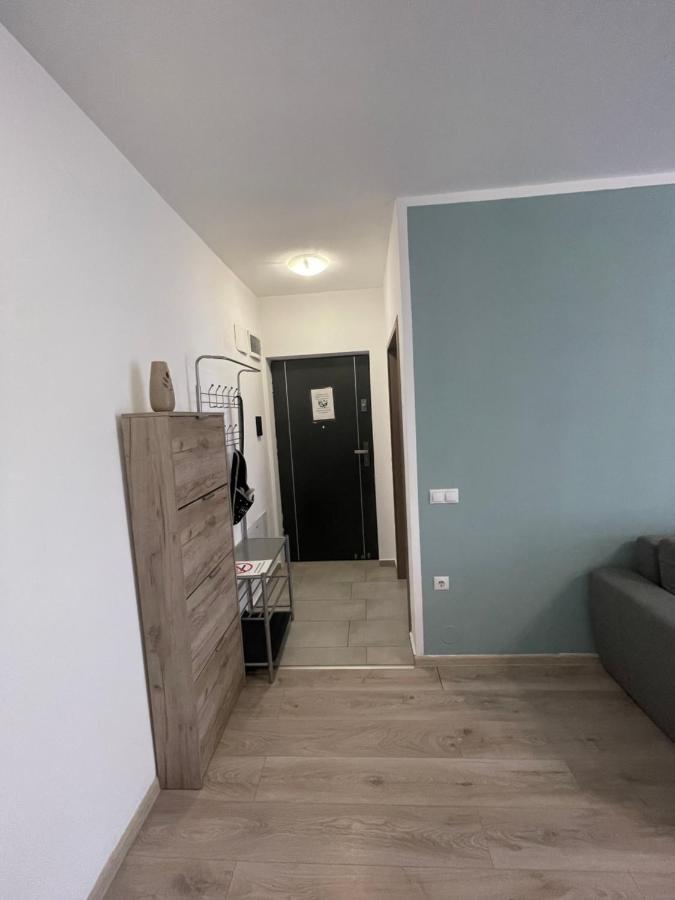 Roxi'S Apartment سيبيو المظهر الخارجي الصورة